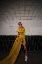 Plague dress